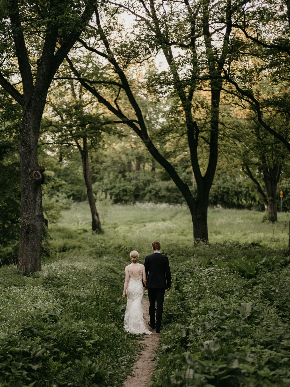 A couple among tall forest trees